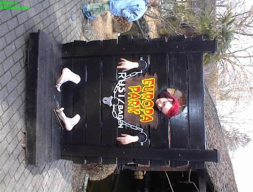 Click on the photo for the original